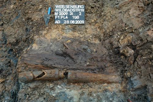 Die Wasserleitungen in situ. Im Hintergrund die verdrückte Holzröhre, im Vordergrund die Tonleitung. Blick von Nord.